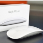 APPLE-Souris Magic Mouse 2 - MLA02ZM/A 